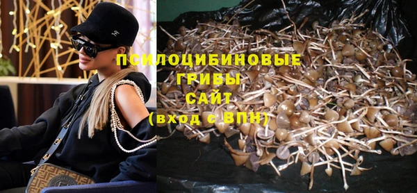 хмурый Абинск