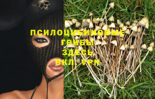 твердый Корсаков